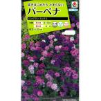 花種子 バーベナ ロングランミックス タキイ種苗のタ