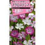  цветок семена куколь обыкновенный Rav Lee Mix takii вид рассада. tane