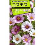  цветок семена Cosmos pico titakii вид рассада. tane