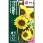  цветок семена подсолнух F1 солнечный Ricci свежий лимон takii вид рассада. tane