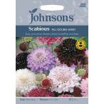 【種子】Johnsons Seeds Scabious Tall Double Mixed スカビオサ トール・ダブル・ミックス ジョンソンズシード