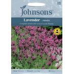 【種子】Johnsons Seeds Lavender FRENCH ラベンダー フレンチ ジョンソンズシード