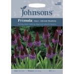 【輸入種子】Johnsons Seeds Primula viallii Orchid Primrose プリムラ・ビアリ ジョンソンズシード