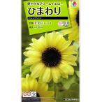  цветок семена подсолнух Valentine takii вид рассада. tane