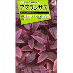  цветок семена ama Ran подвеска bell спальное место занавески takii вид рассада. tane