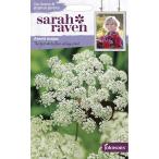 ショッピングフォリフォリ 【種子】Johnsons Seeds Sarah Raven Cut flowers & gorgeous gardens Ammi majus サラ・レイブン アミ・マジャス （ビショップス・ウィード）