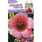 [ семена ]Johnsons Seeds Sarah Raven Cut flowers &amp; gorgeous gardens Malope Vulcan Sara * Ray bn* cut цветок zma low pe* Balkan 