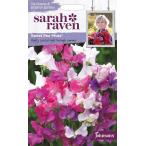 [ семена ]Johnsons Seeds Sarah Raven Cut flowers &amp; gorgeous gardens Sweet Pea Muse Sara * Ray bn сладкий *pi- Mu z Johnson zsi-do