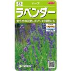 ハーブ種子 ラベンダー サカタのタネ