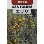  трава семена сантолина e Liza глициния рисовое поле семена. tane