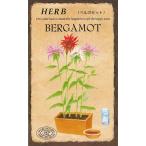  трава семена бергамот (BERGAMOT) солнечный свет вид рассада. tane
