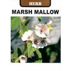  трава семена мармешлоу u( легкий .......) глициния рисовое поле семена. tane