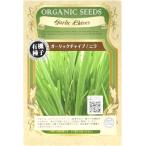  иметь машина семена чеснок шнитт-лук / чесночный лук greenfield Project. tane