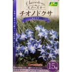 スノースターチオノドクサルシリア1...