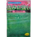 �ڼ�ҡ����μ� Ƨ�ߤ˶������μ�(����) �������Υ���