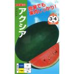  овощи семена арбуз Axia наан to вид рассада. tane