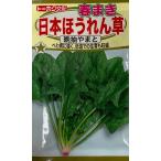 野菜種子 春まき 日本ほうれん草 晩抽やまと トーホク