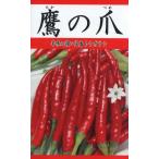 野菜種子 鷹の爪 トーホクのタネ