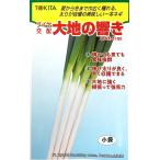  овощи семена лук-батун большой земля. ..(TSX-518) маленький пакет tokita вид рассада. tane