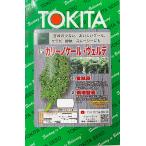  овощи семена ka Lee no кудрявая капуста *verutetokita вид рассада. tane