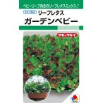 野菜種子 リーフレタス ガーデンベビー タキイ種苗の