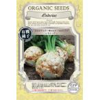 有機種子 セロリアック／根セロリ／セロリラブ ＜モナ