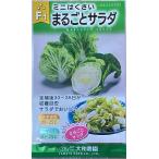 野菜種子 ミニはくさい（白菜） F1 まるごとサラダ 大