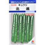  овощи семена огурец север .takii вид рассада. tane