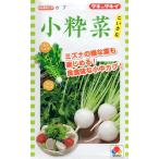 [ семена ] Cub маленький ..takii вид рассада. tane