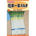  овощи семена Matsumoto 1 шт futoshi лук порей to- ho k. tane