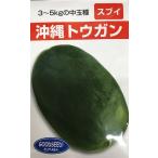  овощи семена Okinawa tou gun sbi Futaba вид рассада. tane