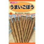 野菜種子 ゴボウ うまいごぼう トーホクのタネ
