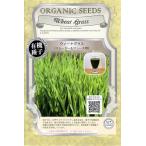  иметь машина семена we to стакан ( смузи & сок для ) greenfield Project. tane