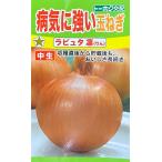 野菜種子 病気に強い玉ねぎ ラピュタ 凛（りん） トーホクのタネ