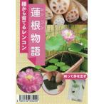  овощи семена лотос корень ( лотос ) история .. садоводство. tane