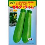  овощи семена кабачок Zelda * lime маленький пакет tokita вид рассада. tane