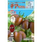  овощи семена мини помидоры Cheer Chan tokita вид рассада. tane