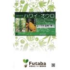 【種子】パパイヤ ハワイ・オウロ フタバ種苗のタネ