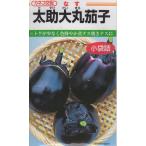  овощи семена futoshi . большой круг ..( маленький пакет .)ka кошка вид рассада. tane