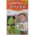  овощи семена Gusto Italia цветная капуста машина vorufi ole (romanesko модель ) черновой .erotokita вид рассада. tane