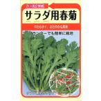 野菜種子 サラダ用春菊 トーホクのタネ