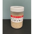 野菜種子 タマネギ ラッキー(コート種子) 5000粒入 渡