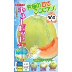 野菜種子 メロン キューピット ナント種苗のタネ