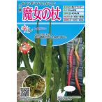 [ семена ].koretougalasi. женщина. трость tokita вид рассада. tane