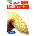 野菜種子 沖縄純白ゴーヤー フタバ種苗のタネ