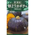 野菜種子 秋どりカボチャ 味ゆたか トーホクのタネ