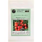  иметь машина семена мини помидоры < chaco > greenfield Project. tane