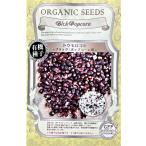  иметь машина семена кукуруза < черный / Popcorn для > greenfield Project. tane