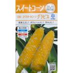 野菜種子 スイートコーン スペリオールコーン グラビス 雪印種苗のタネ