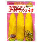  овощи семена sakata. распределение сладкий кукуруза Gold Rush Neo 200 шарик входить sakata. tane